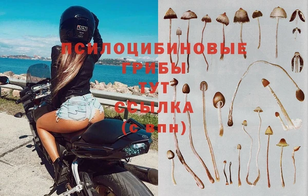 бутират Покров