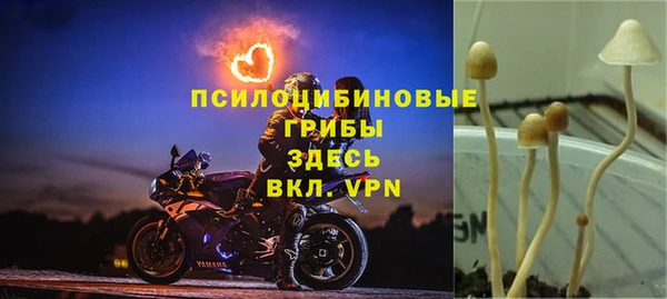 герыч Покачи