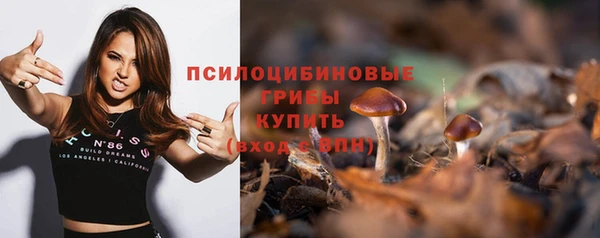 герыч Покровск