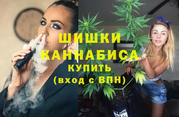 стафф Пестово