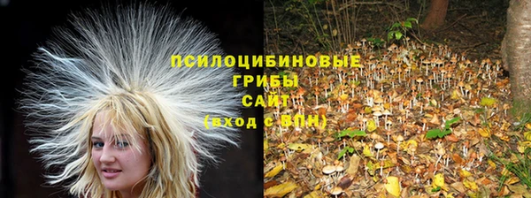 герыч Покровск