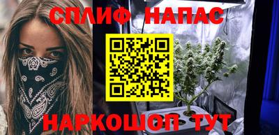 гашик Аргун