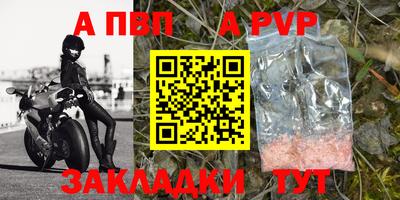 гашик Аргун