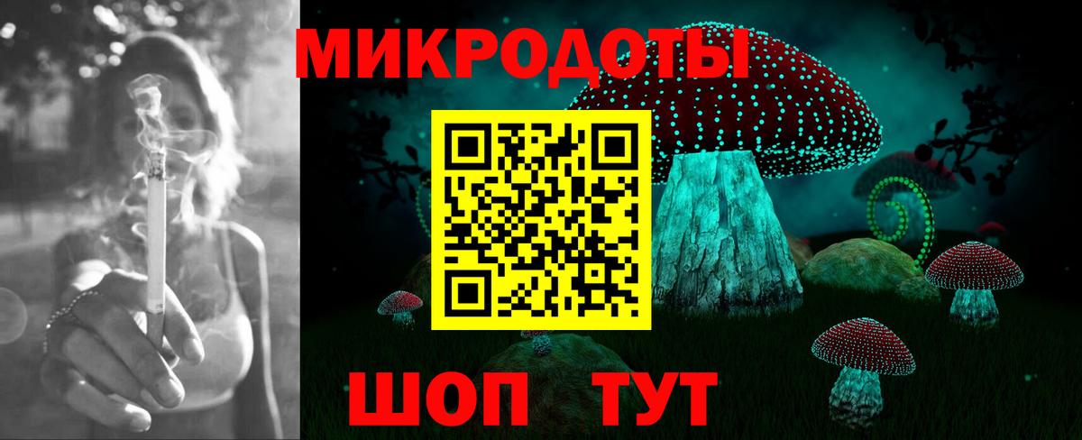 Псилоцибиновые грибы Psilocybine cubensis Балтийск