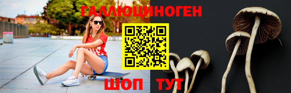 Псилоцибиновые грибы MAGIC MUSHROOMS Балтийск