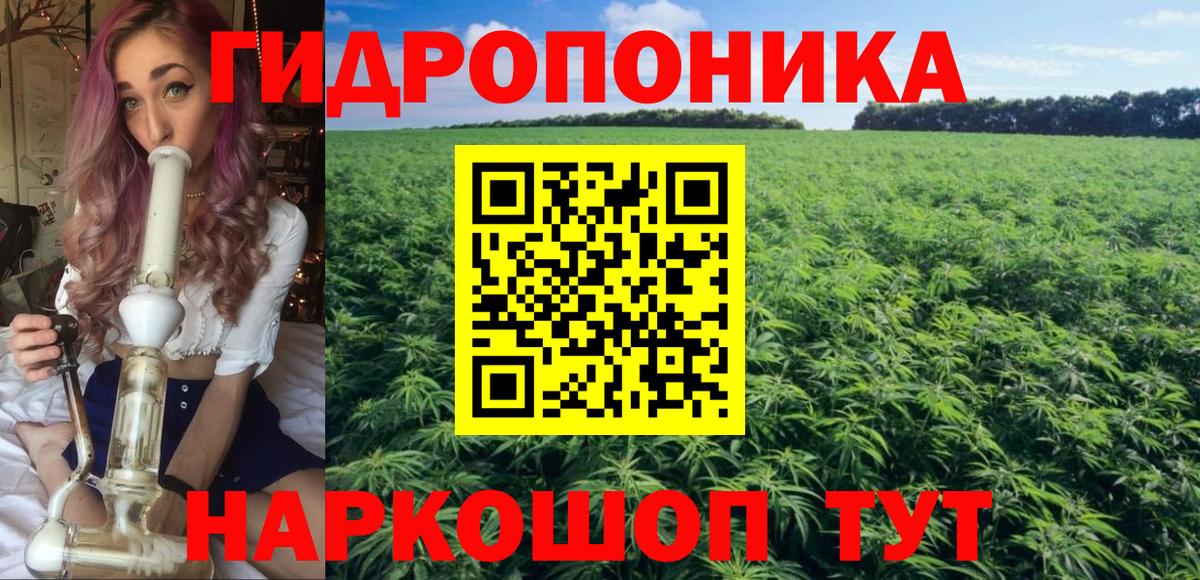 Шишки марихуана план Балтийск